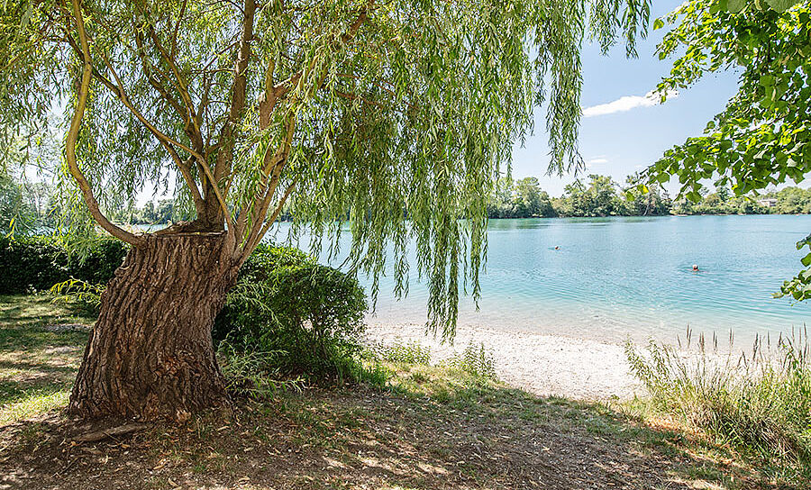 Langwieder See, Strand am See