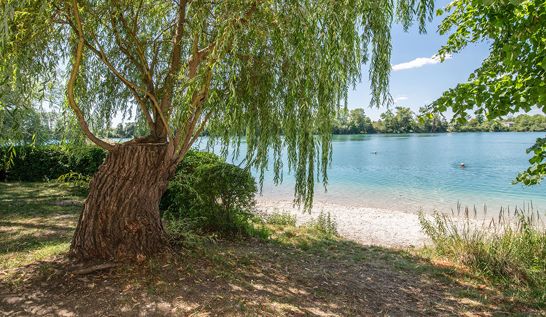 Langwieder See